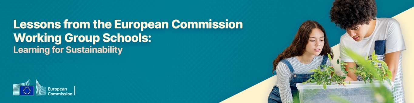 Lessons from the European Commission Working Group Schools: Learning for Sustainability